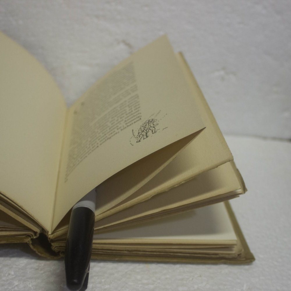 Vintage The Little Book of Children by Dr John Brown Circa 1923 - Picture 6 of 12